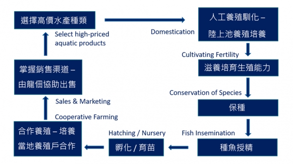 成魚事業 